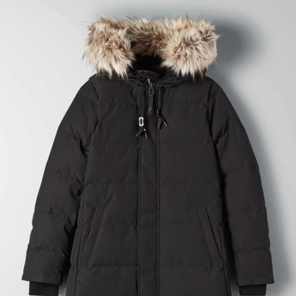 TNA Aritzia St Anton/ Powder Parka